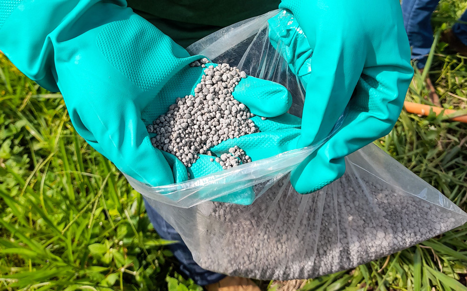 Fertilizers